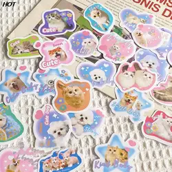 Cute Cartoon Pet Animal Adesivos, Gatos criativos, Cães, Graffiti Adesivo, DIY, Bicicleta, Skate, Carro, Capacete, Caderno, Computador, Adesivos, 60pcs