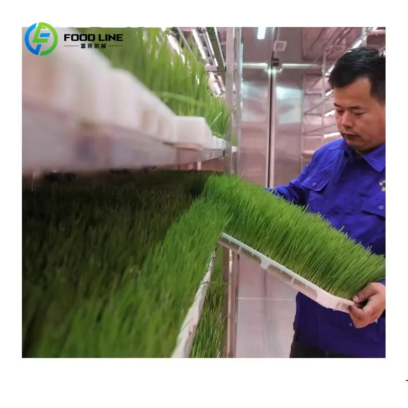 Customized 40HQ Hydroponic Greenhouse Container Farm Vertical Farming Hydroponic Fodder Plant Farming Container Greenhouse