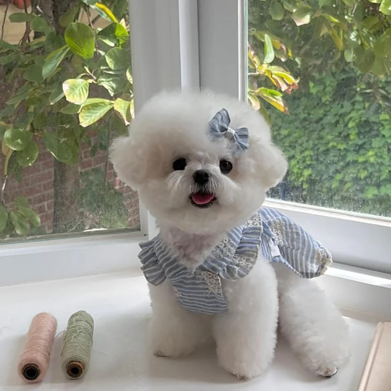Purple Bow Pet Skirt Spring and Summer New Dog Clothes Small and Medium sized Dog Striped Pullover Pet Supplies