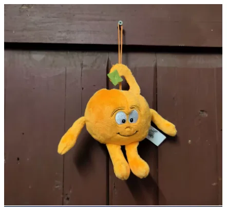 New Arrival 2025 Super Cute Fruit Plush Toy Unique Birthday Gift Soft Cuddly Fruit Shaped Toys for Kids And Fruit Lovers