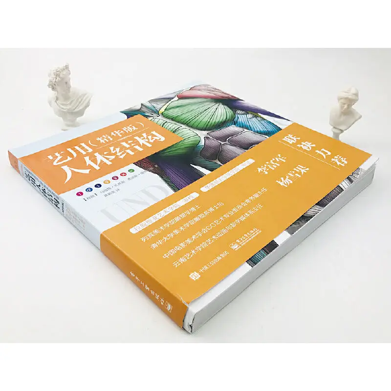 Artistic Anatomy of the Human Body (Essential Edition) Dangdang