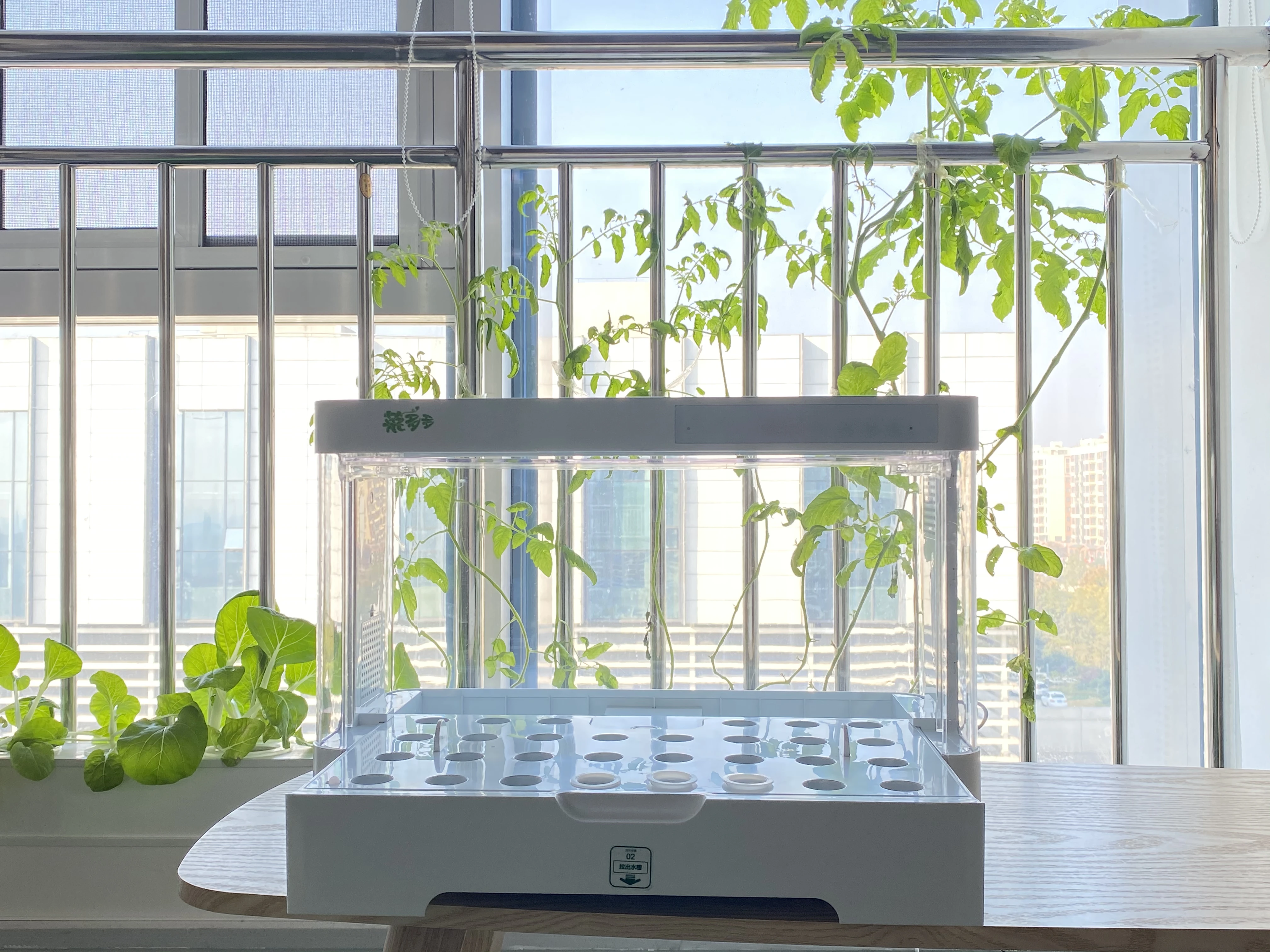 Vegetable Box Hydroponics Growing System With LED Indoor Garden Light