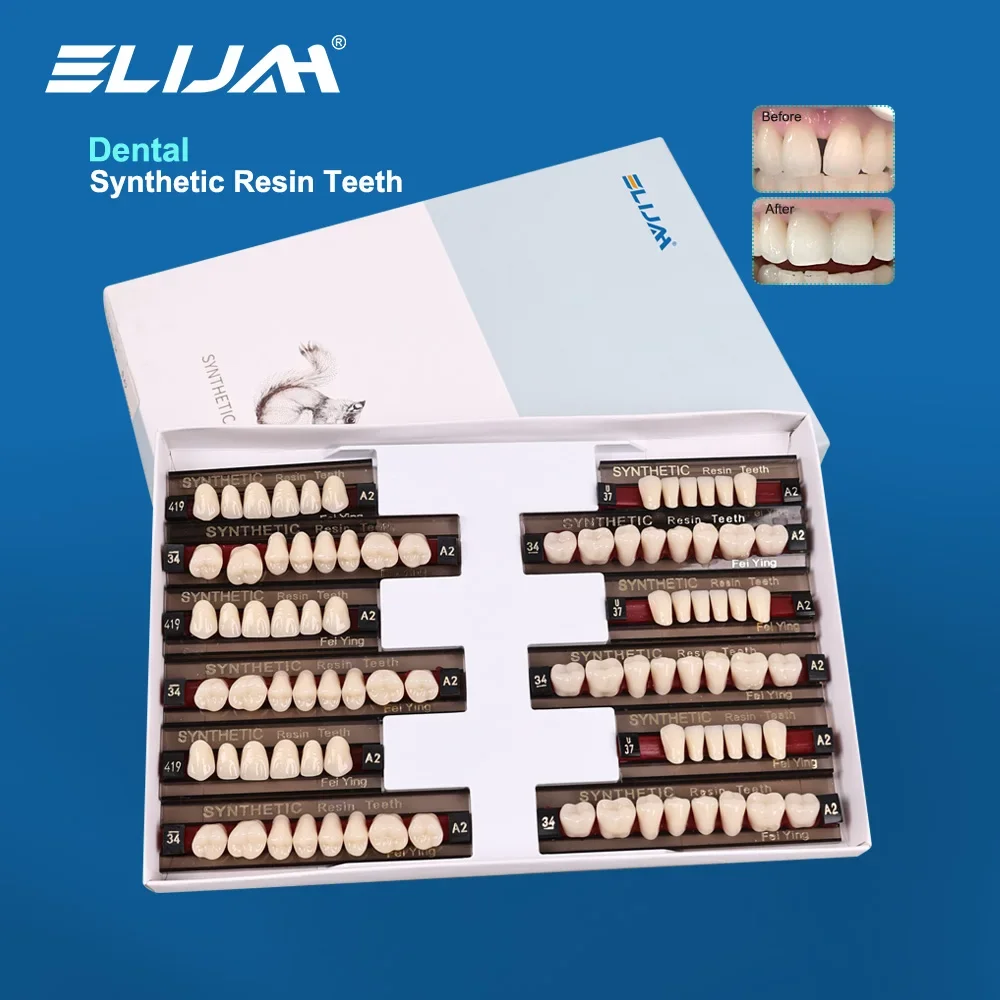 ELIJAH Dental Synthetic Resin Teeth Dental Denture Teeth Upper Anterior Lower Posterior Teeth Acrylic A2 2 Layers