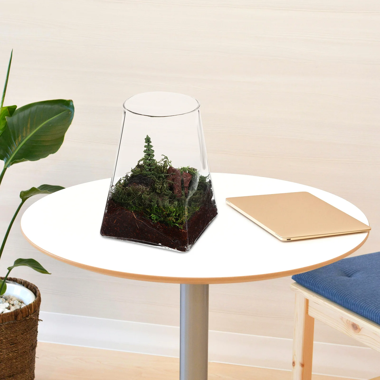 

Glass Terrarium Container with Square Base Round Top Design for Mini Landscape Or Flower Vase Display Micro Landscape Bottle