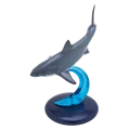 Great white shark