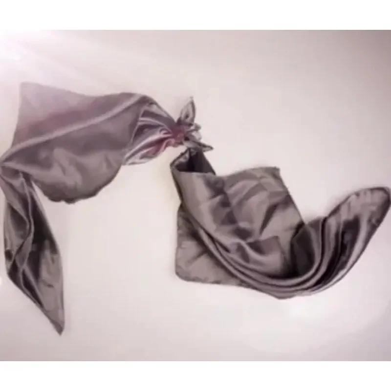 Silk Scarf to Panties Magic Tricks Scarve to Panty Magie Stage Props,Accessories Easy To Do Trick Gimmick Comedy