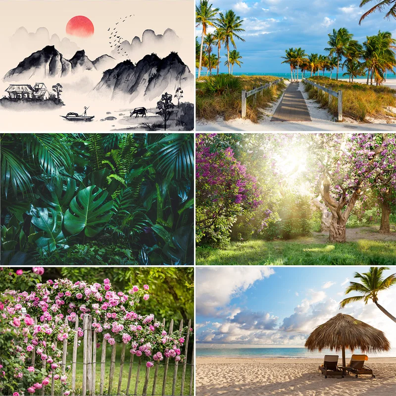 

Summer Scenery Forest Photography Backdrops Props Mountains Grassland Plants Sunlight Landscape Photo Studio Background HJ-10