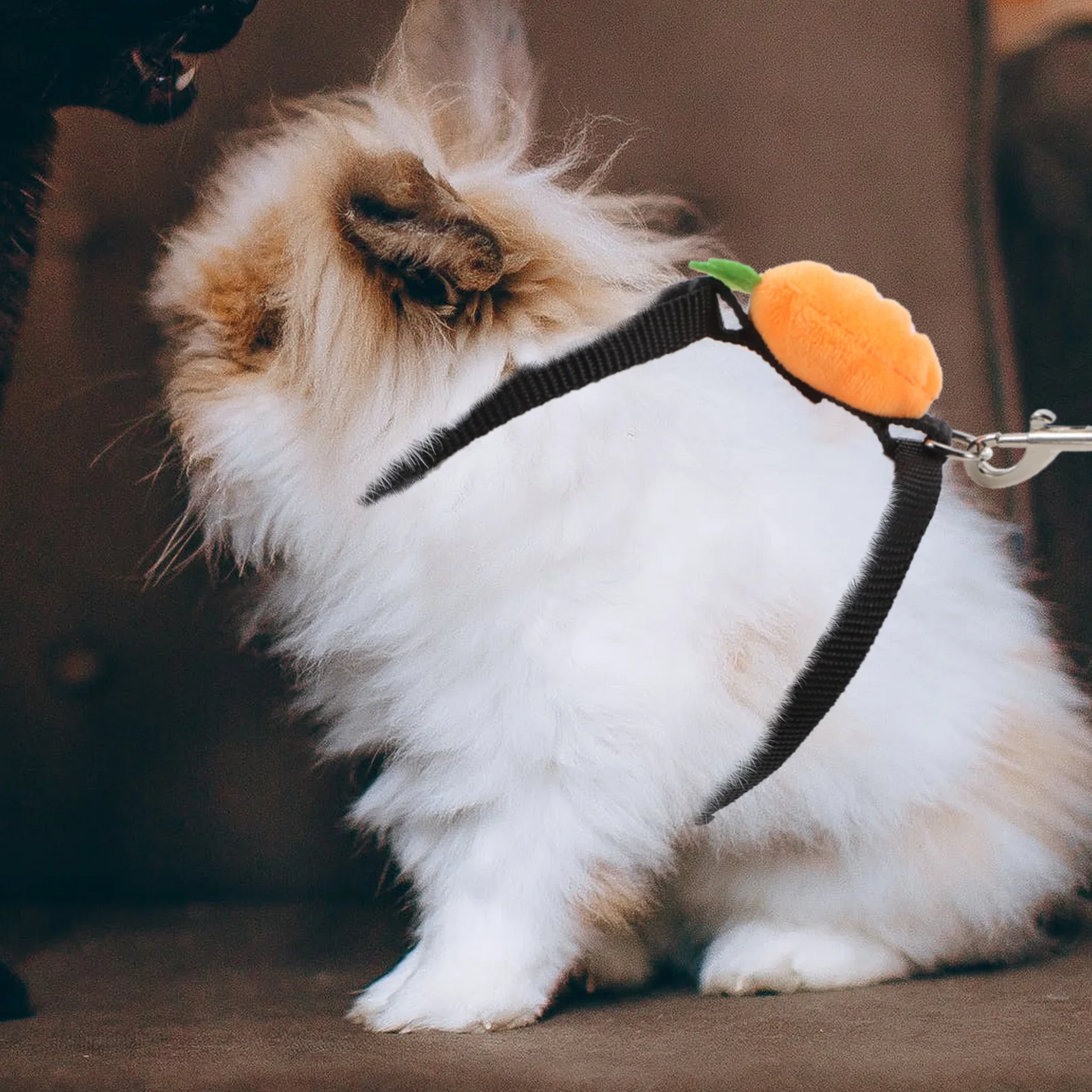 

Rabbit Cloth Harness for Small Pets Outdoor Play Durable Soft Breathable Rabbit Outdoor Traction Rope Pet Leash Rope Chinchilla