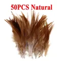 50pcs Natural
