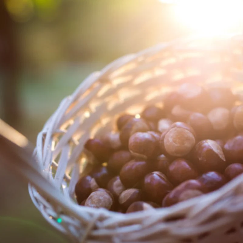 Высокопроизводительные мягкие шины 72 мм для WPL B14 B24 C24 C34 C44 MN D90 99 99S 1/12 1/16 RC Гусеничные аксессуары