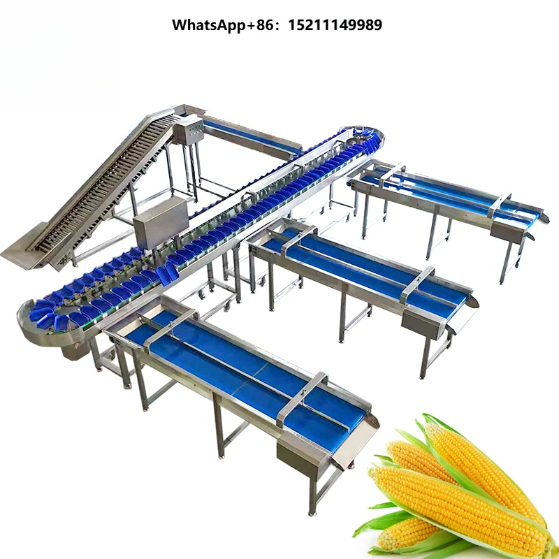 Price Automatic Fruit Vegetable Sorter Potato Tomato Orange Avocado Onion Grading Washing and Weighing Machine