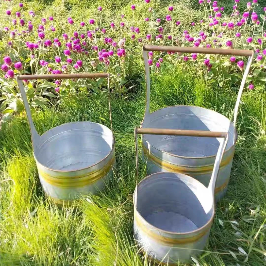 Vintage Galvanized Metal Bucket Planter with Handle, Rustic Farmhouse Garden Tool Storage Basket, 3 Sizes