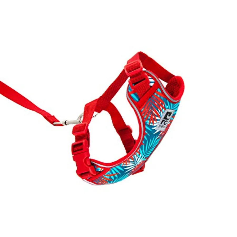 

Adventure Kitty Harness Includes Adjustable Airmesh Fabric 6' Leash and D-Ring Cat Walking Harness Maldives Medium