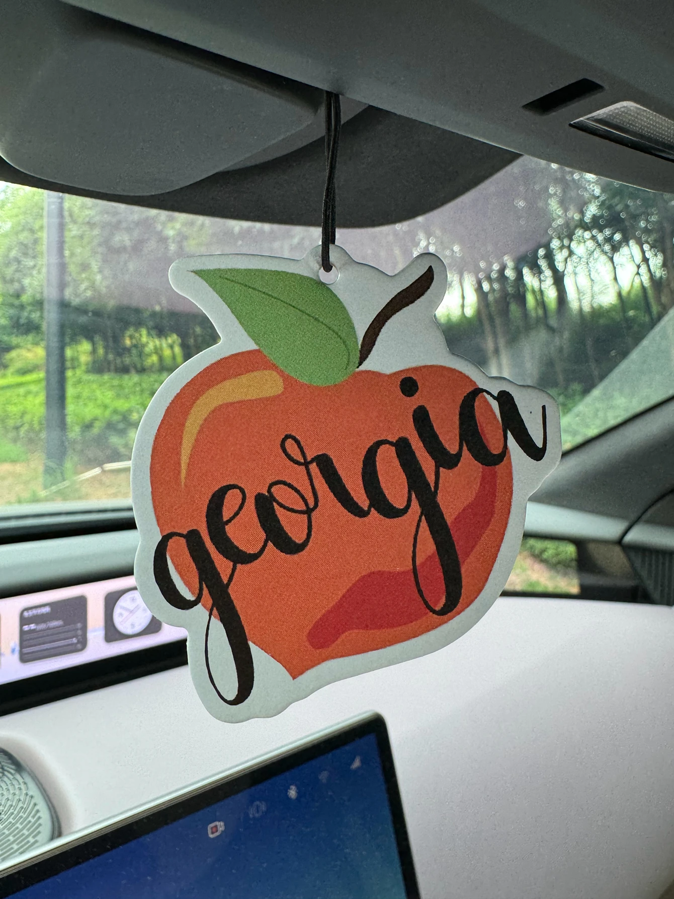 Georgia Peach Hilton (Hotel Scent) Neutral Car Fragrance and Non-Toxic Air Freshener |   Natural Essential Oils and Aromatherapy Scent Tablets (Noroili/Grapefruit/Cedar) |   Hanging Type and Dual-Purpose with Vent Clip |   Long-Lasting Fragrance for 60-90 Days |   Deodorize and Purify the Air |   Suitable for Use in Cars, Homes, Wardrobes, and Bathrooms. |   Cartoon Animation Design |   Same Fragrance as the One Sold in the Store |   Creative Gifts