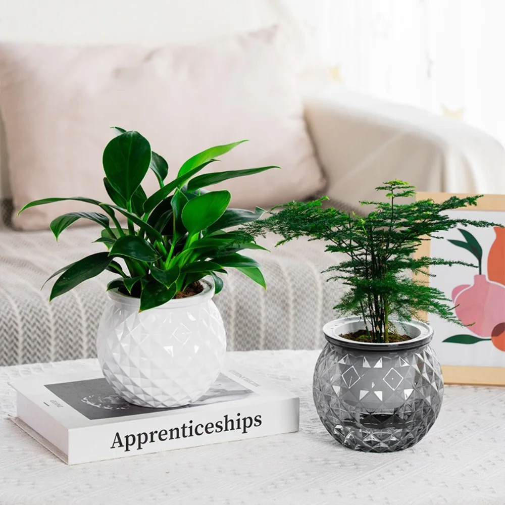

Mini Succulent Planter Tabletop Vase Flowerpot Creative Self Watering Hydroponic Plants Pot Plastic Removable