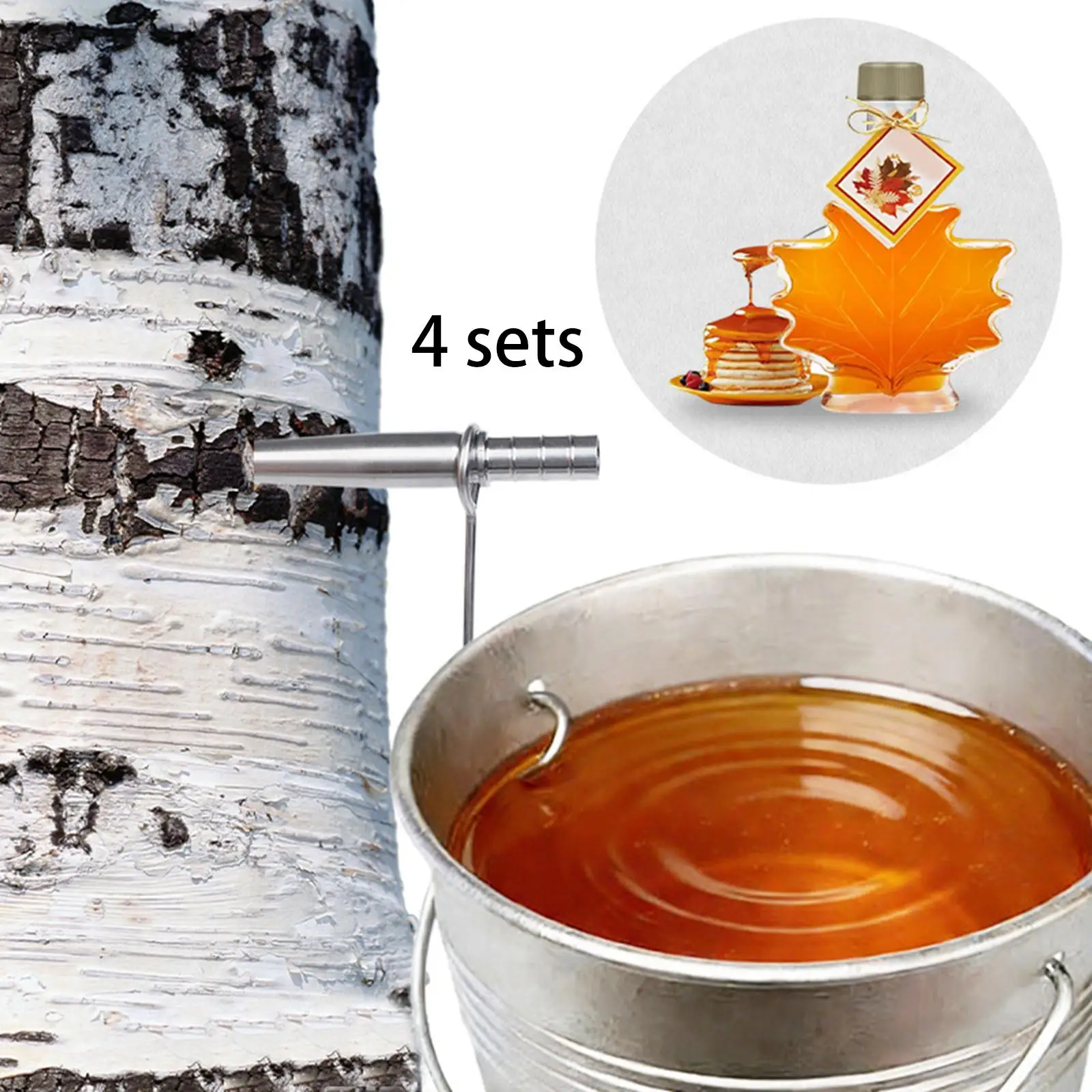 Sturdy Maple Syrup Tap Kit Stainless Steel Sap Collection Equipment Easy to Clean for Garden or School Use