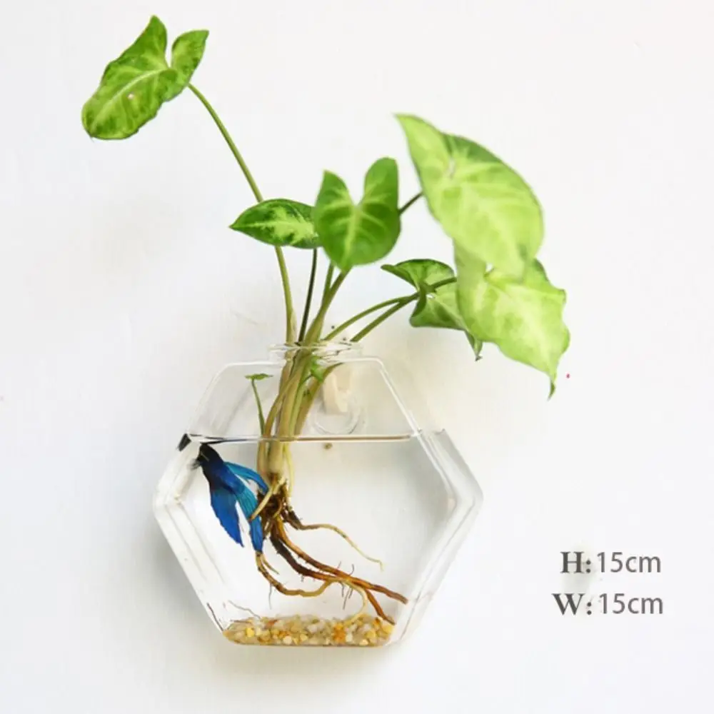 Fish Tank Home Decorations Wall-mounted Purify House Irregular Shape Hydroponic Vase Flower Vase Plant Container Flower Pot