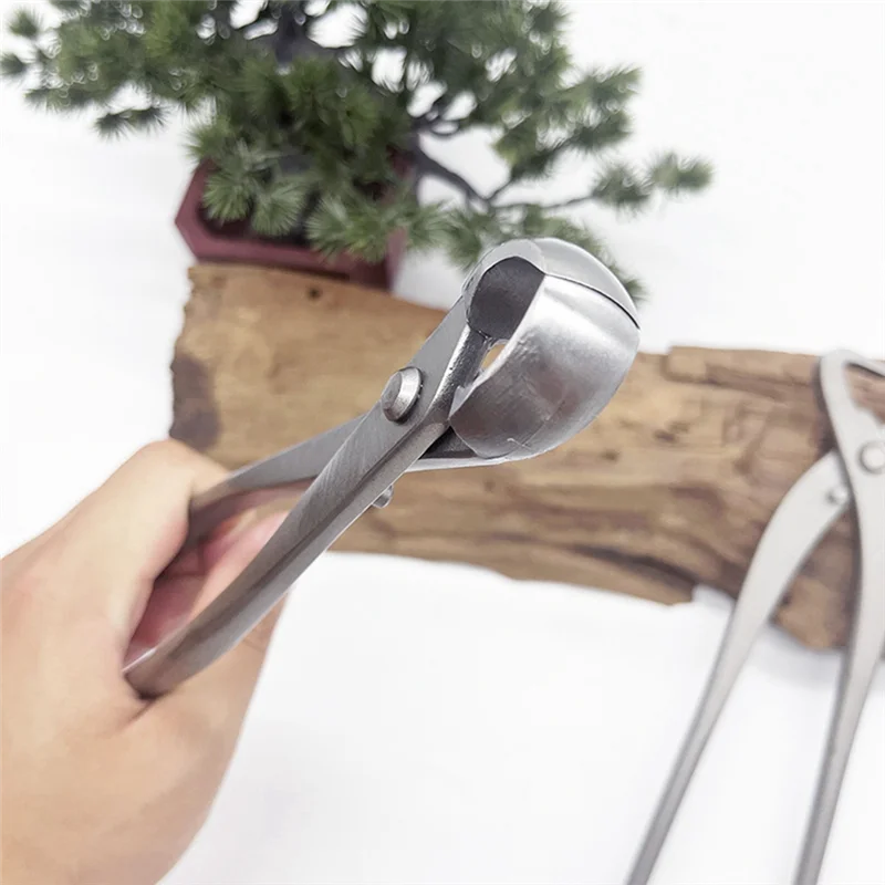 [NEWA76K!】 1 Set Bonsai Modeling Tools Round Mouth Scissors + Bevel Scissors + Branching Shears Gardening Ball Knot Scissors