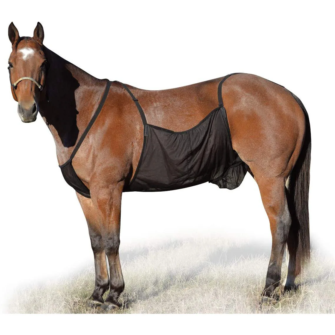 Breathable Anti-mosquito Horse Bellyband ป้องกันรอยขีดข่วน Horse Belly Protector อุปกรณ์ขี่ม้า