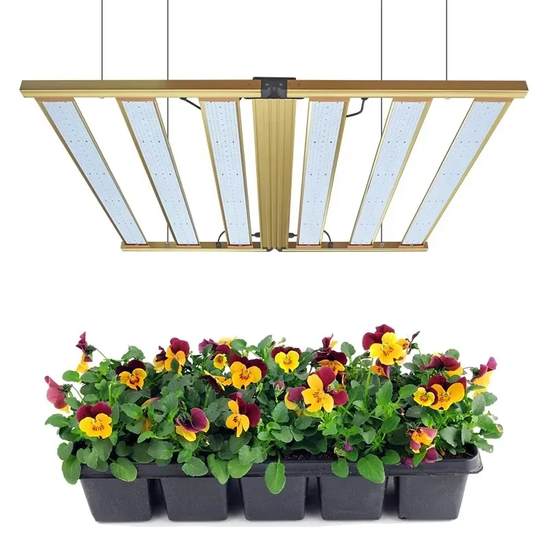 

Newest Golden Eagle LED Grow Light 600W 1000W Greenhouse Full Spectrum Grow Light Led Grow Light 1000w for Indoor Plant