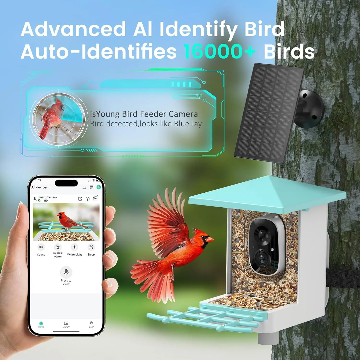 AI Bird Feeder with Camera, Identifies 16,000+ Species, Solar Powered, Wide View Motion Detection - Perfect Gift