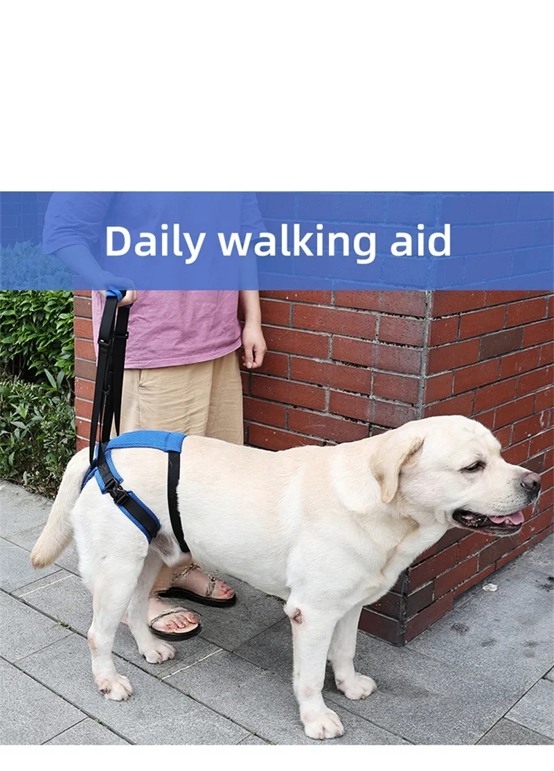 New Upgraded Dog Rear Leg Support Harness Adjustable Pet Lift Sling for Injured Disabled Elderly Dogs Walking Assistance Supply