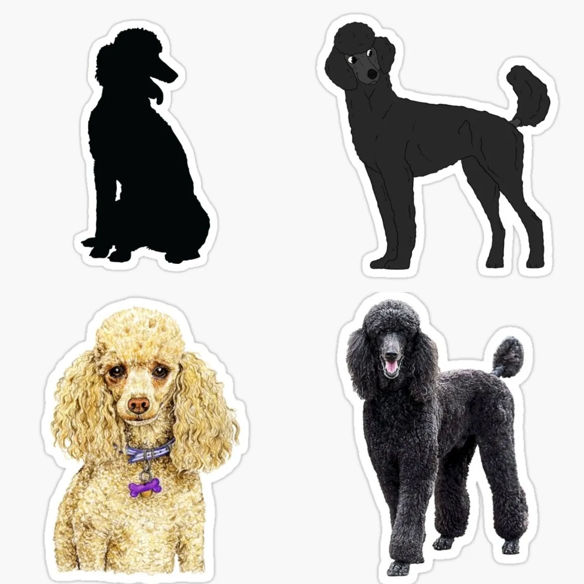 

Black Poodle Vinyl Decal Sticker Graphic - Auto, Wall, Laptop, Cell, Truck Sticker for Windows, Cars, Trucks