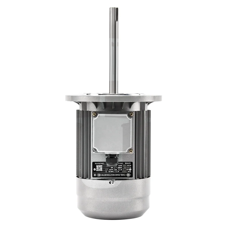

750W/220V Insulated Long Shaft Motor Can Be Equipped with Impeller
