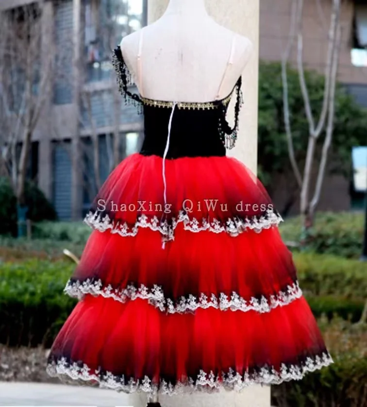 Don Quixote Adult Red Romantic Tutu Spanish Kitri Ballet Dress Professional Tutu Ballet Spanish Dance Costume for girls