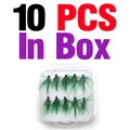 10Pcs In Box