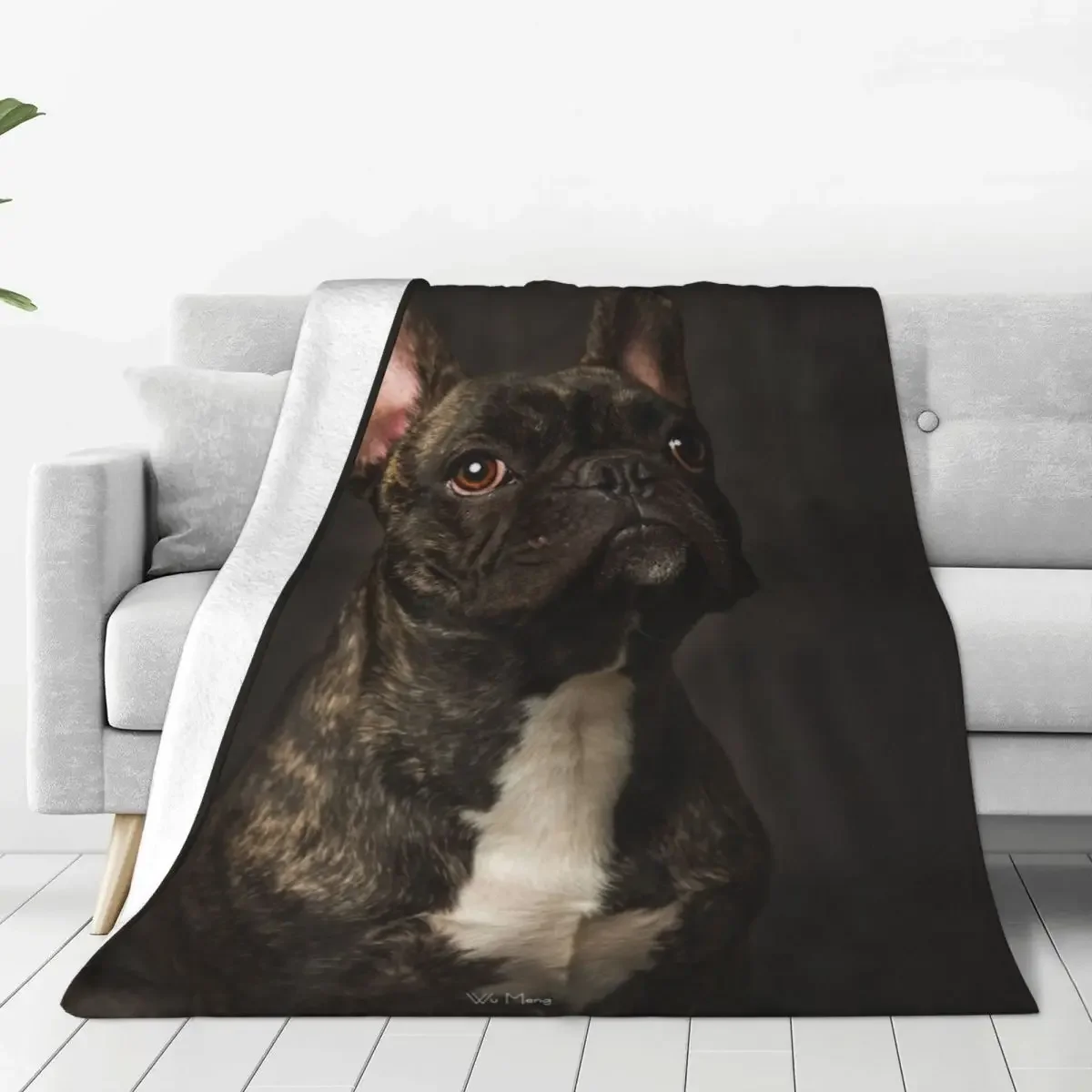 French Bulldog Blanket Pet Lovely Animal Travelling Flannel Throw Blanket Super Soft Bedroom Custom Bedspread Gift Idea