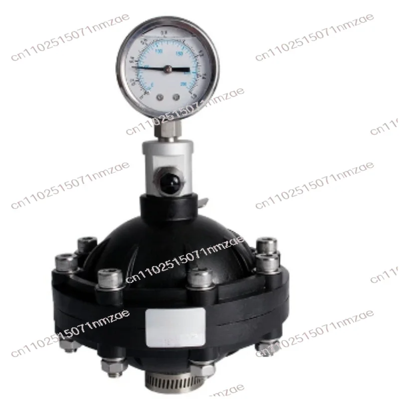 Diaphragm Pulsation Dampener for Pumps Dosing System Pulsation Damper 0.35-4L DN15-DN50 Internal Thread