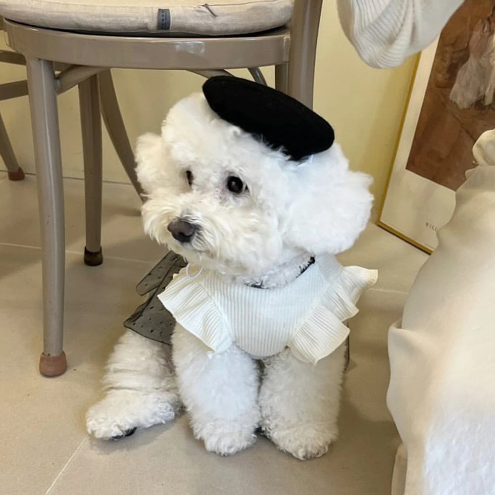 No Hat Summer Fashion Luxury Pet Dog Clothes Black and White Lace Bow Skirt Dog Dresses Teddy For Small Dog Clothing Puppy Vest