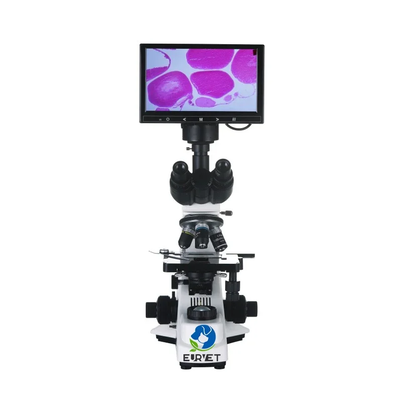 

EUR VET Reliable Quality Biological Microscope Veterinary Equipment High Magnification Microscope For Pet Hospital