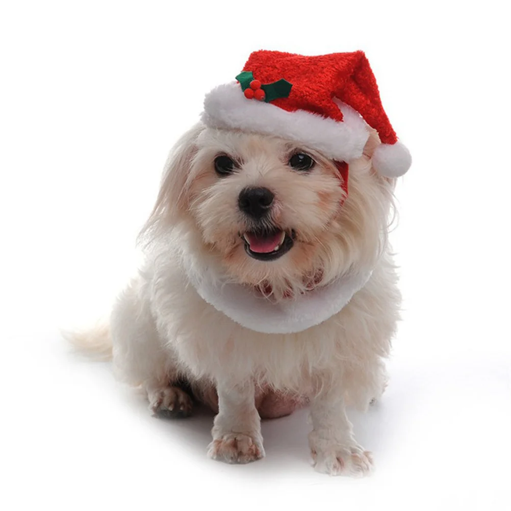 

Pet Santa Hat Collar Set Size M Fashionable Difference for Christmas Party Holiday Dress Up for Pets Pet Santa Hat