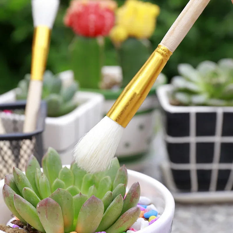 1 Pc Artificial Pollination Brush Meat Cone Raw Stone Sedum Prickly Apricot Succulent Pot Seedling Chalk Pen Garden Accessories