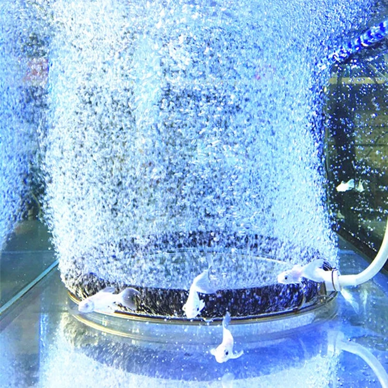 Tarcza nanopowietrzania ze stali nierdzewnej Koi staw rybny stawu z owocami morza płyta tlen pierścień tlenowy akwarium samoosadzania