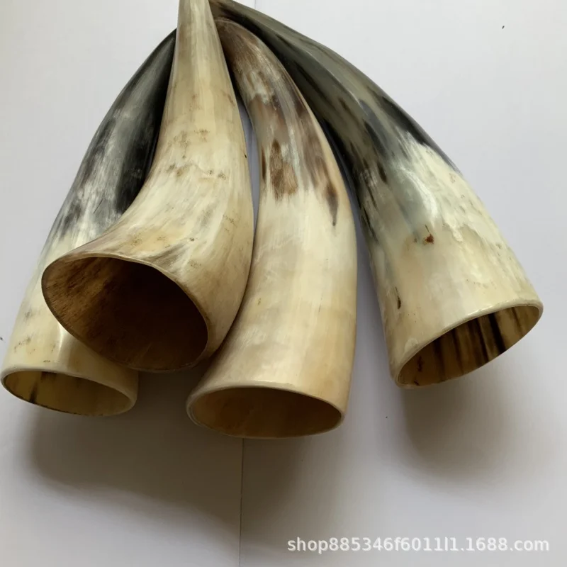 

Cattle's Horn White Yak Skull Station Tube Tube for Scrapping Therapy Horn Cupping