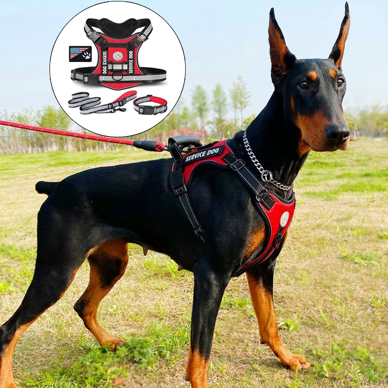Dobermann Hundegeschirr, Halsband und Leine Set, Gehgeschirr für mittelgroße und große Hunde, Deutscher Schäferhund, Haustierbedarf
