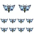 PE11550CT