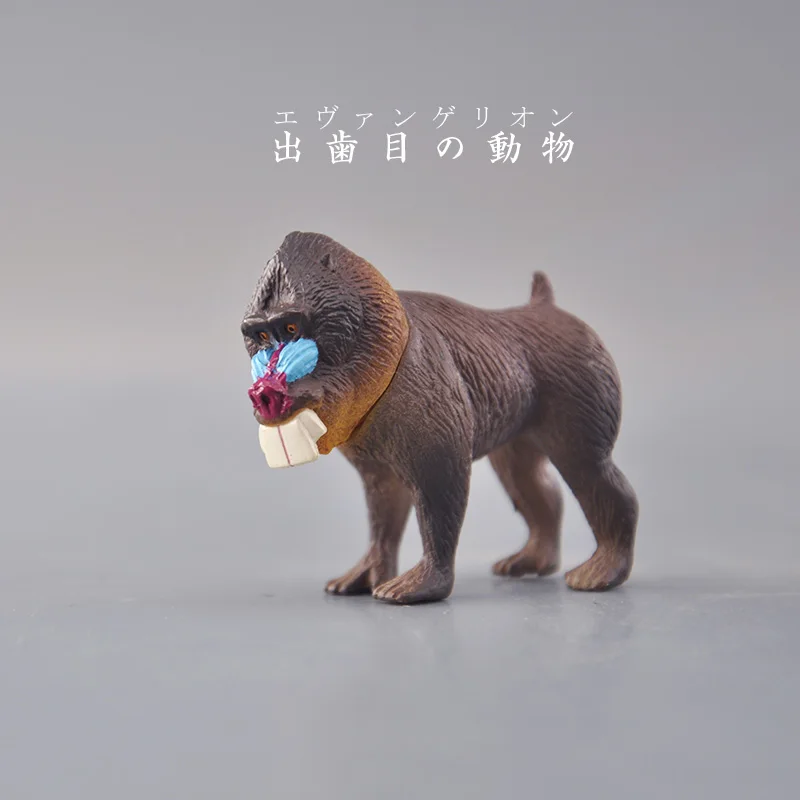 T-ARTS Gacha Funny Buck Teeth Wild Animals Figure Gagtooth Tiger Monkey Frog Mandrill Snake Model Ornaments Gashapon Capsule Toy