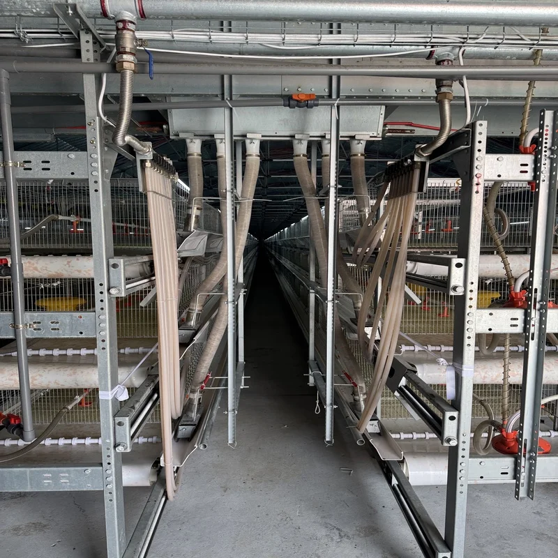 New Modern Automatic H-Type Design Multifunctional Hot Dip Galvanized Steel Poultry Farm Egg Laying Layer Cage System