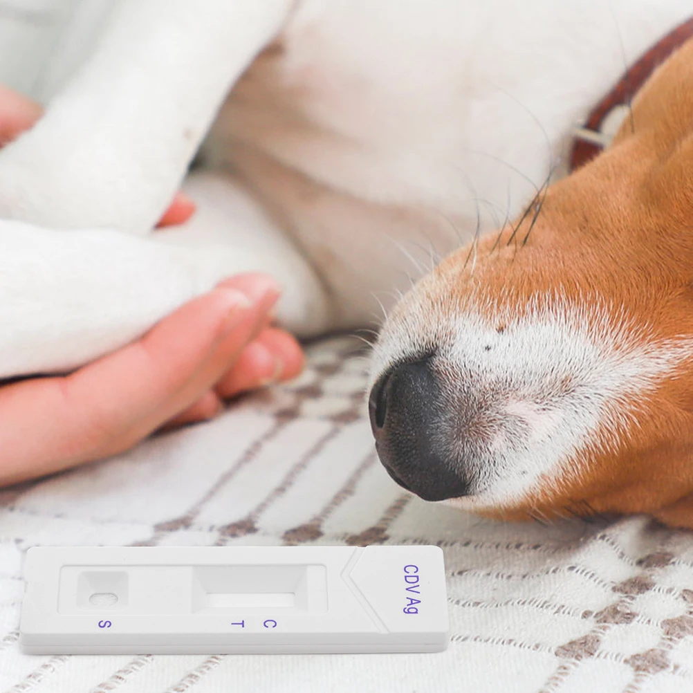 

Pet Testing Kit Canine Distemper Test Paper Rapid Veterinary Supplies Strips Easy Storage High Accuracy Pet Infection Monitor