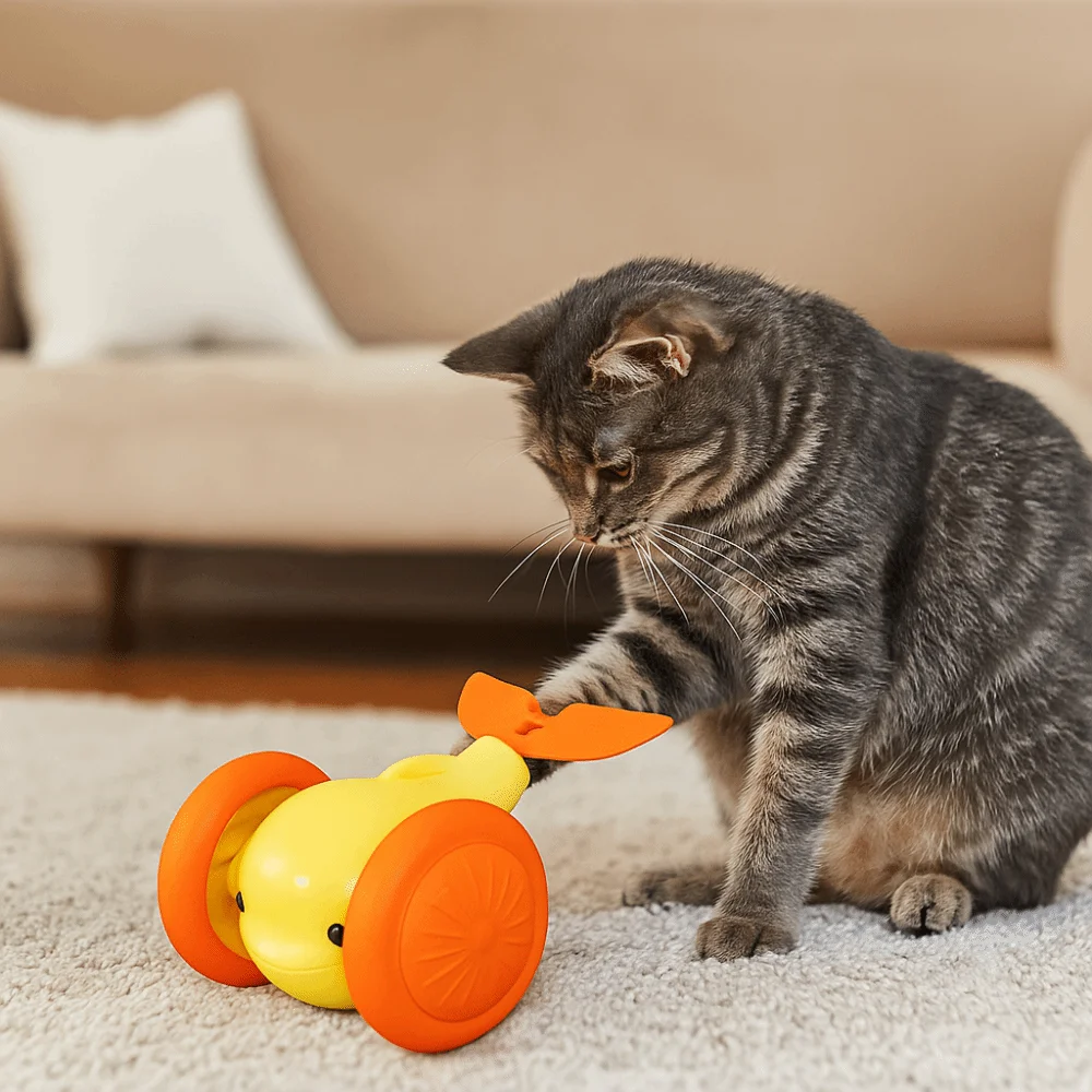 

USB Charging Cat Interactive Whale Toy Running Car Interactive Cat Teaser Toy Plastic Electric Whale Car Toy