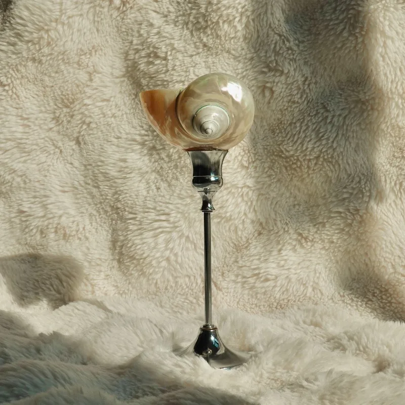 verre-a-champagne-en-coquille-de-conque-de-luxe-leger-gobelet-creatif-sur-le-theme-de-la-mer-pour-la-decoration-de-la-maison-piece-d'exposition-artistique-et-accessoire-de-photographie