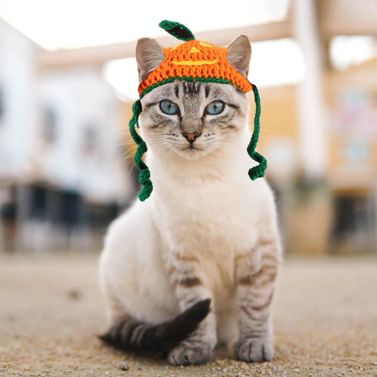 

Pumpkin Hat Pet Costume Cape Woolen Funny Reusable Clothing Yarn Apparel Halloween Dog Pet Accessories Soft Elastic H made