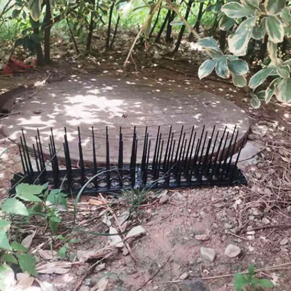 3pcs Bird Spikes Anti Bird Spike For Garden Fence Window Balcony Outdoor Squirrel Cat Deterrent Fence Spikes Outdoor Garden