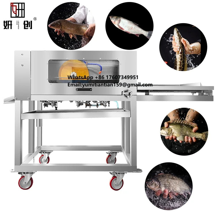 Máquina Procesadora de Pescado Fresco Eléctrica Totalmente Automática Industrial y Comercial, Abertura Dorsal, Abdominal y de la Espalda para Pescado