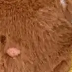 

Милый мультяшный плюшевый кулон-брелок с животными, кавайный кот, медведь, кролик, мягкая кукла, украшение для рюкзака, кулон, аксессуары