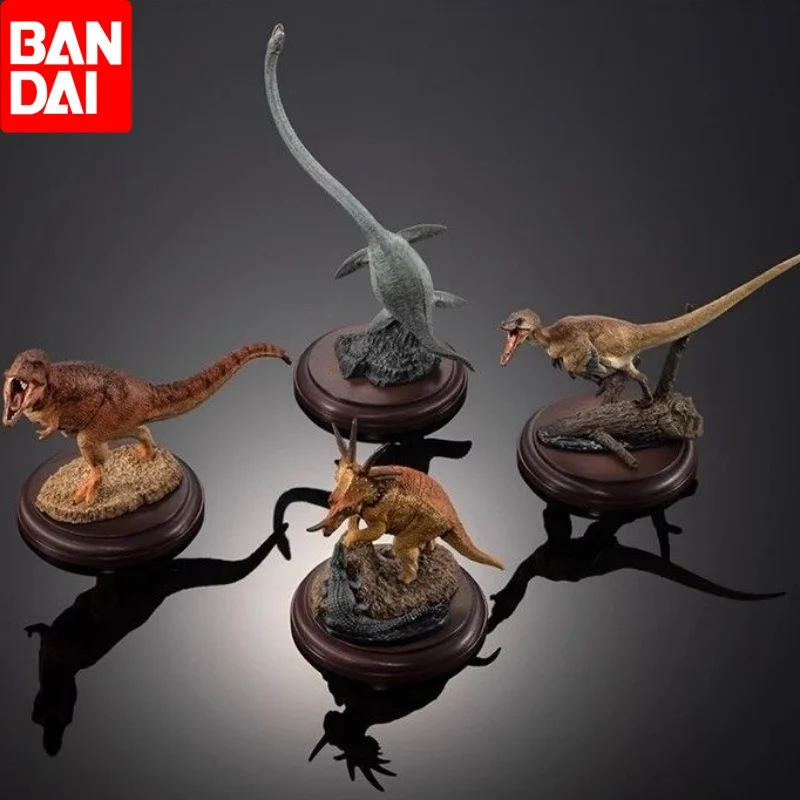 

Hot Original Bandai Gashapon Big Biological Map Figures Dinosaur Tyrannosaurus Simulation Movable Animal Action Figure Model Toy